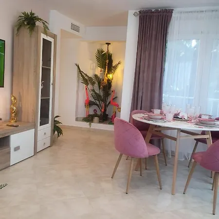 Apartment Apartamento Flamingo *